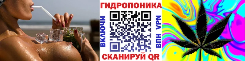 Марихуана VHQ  Купить закладки  Кыштым 